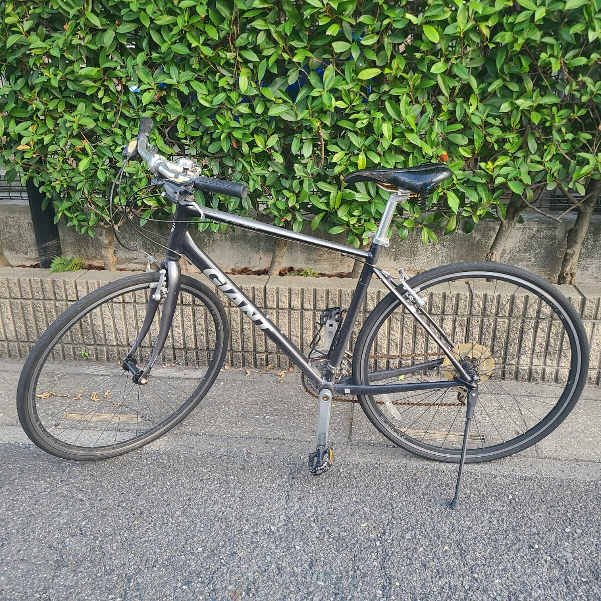 【中古】 ジャイアント 楽天市場】GIANT（ブランドジャイアント）（自転車