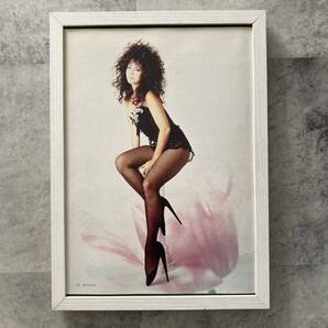 ●額装品 アン・ルイス グラビア A4サイズ額入り ポスター風 切り抜き アートフレーム 送料無料 D469