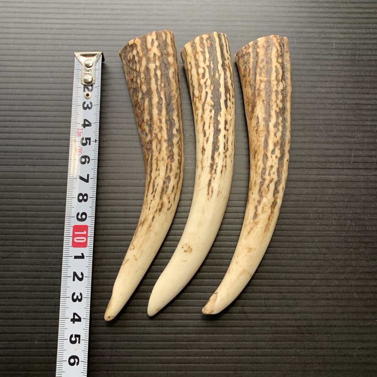 Yahoo!オークション -「鹿角 根付」の落札相場・落札価格