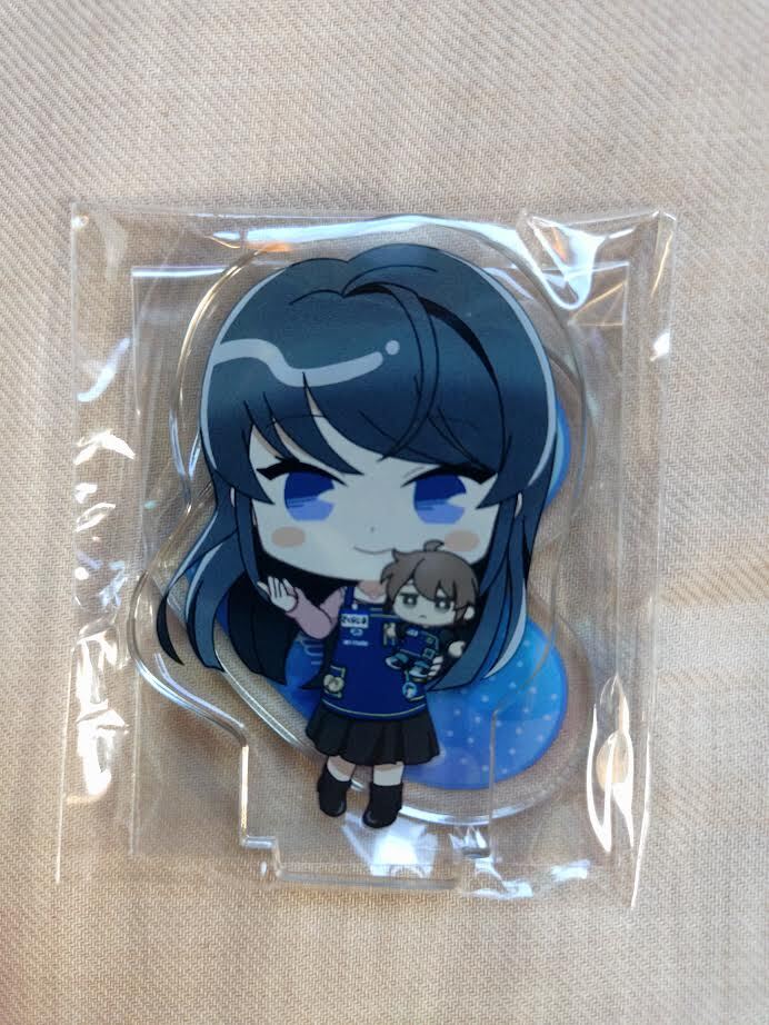 バラ売り可 青ブタ アクリルスタンド アクリルキーホルダーまとめ 2025年最新】青ブタの人気アイテム - メルカリ