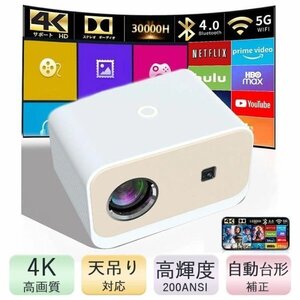 プロジェクター 本体 子供 小型 家庭用 天井 天吊り投影 4K対応 高性能 自動台形補正 カラオケシステム スマホ 5G WiFi6 Bluetooth zhw078