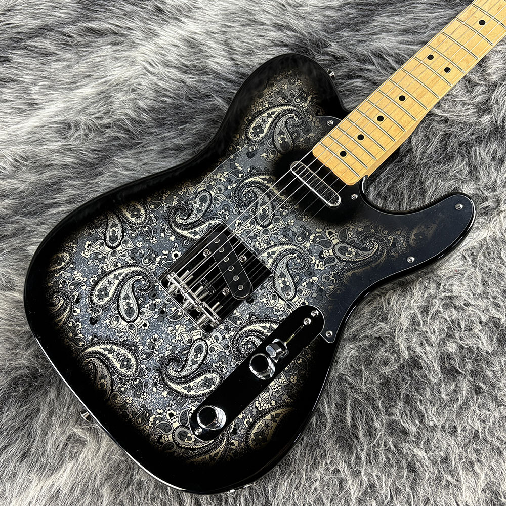 2025年最新】Yahoo!オークション - テレキャスター(JAPAN