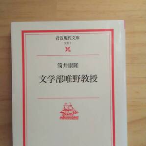 (BT‐17) 文学部唯野教授 (岩波現代文庫) 著作者=筒井康隆