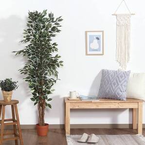 フェイクグリーン フィカス インテリアグリーン 人工観葉植物 幅80×奥行80×高さ160cm コンパクト収納 リラックス 水やり不要