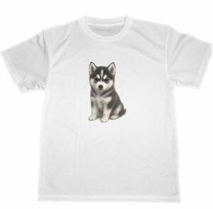 シベリアンハスキー ドライ Tシャツ 子犬 仔犬 DOG グッズ Siberian Husky T-shirt