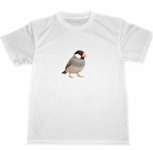ドライ Tシャツ ブンチョウ ペット 鳥 バードウォッチング アニマル グッズ