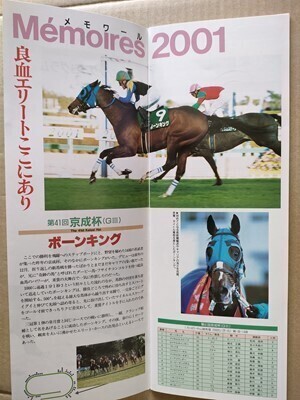 2025年最新】Yahoo!オークション -ステイゴールド(競馬)の中古品・新品