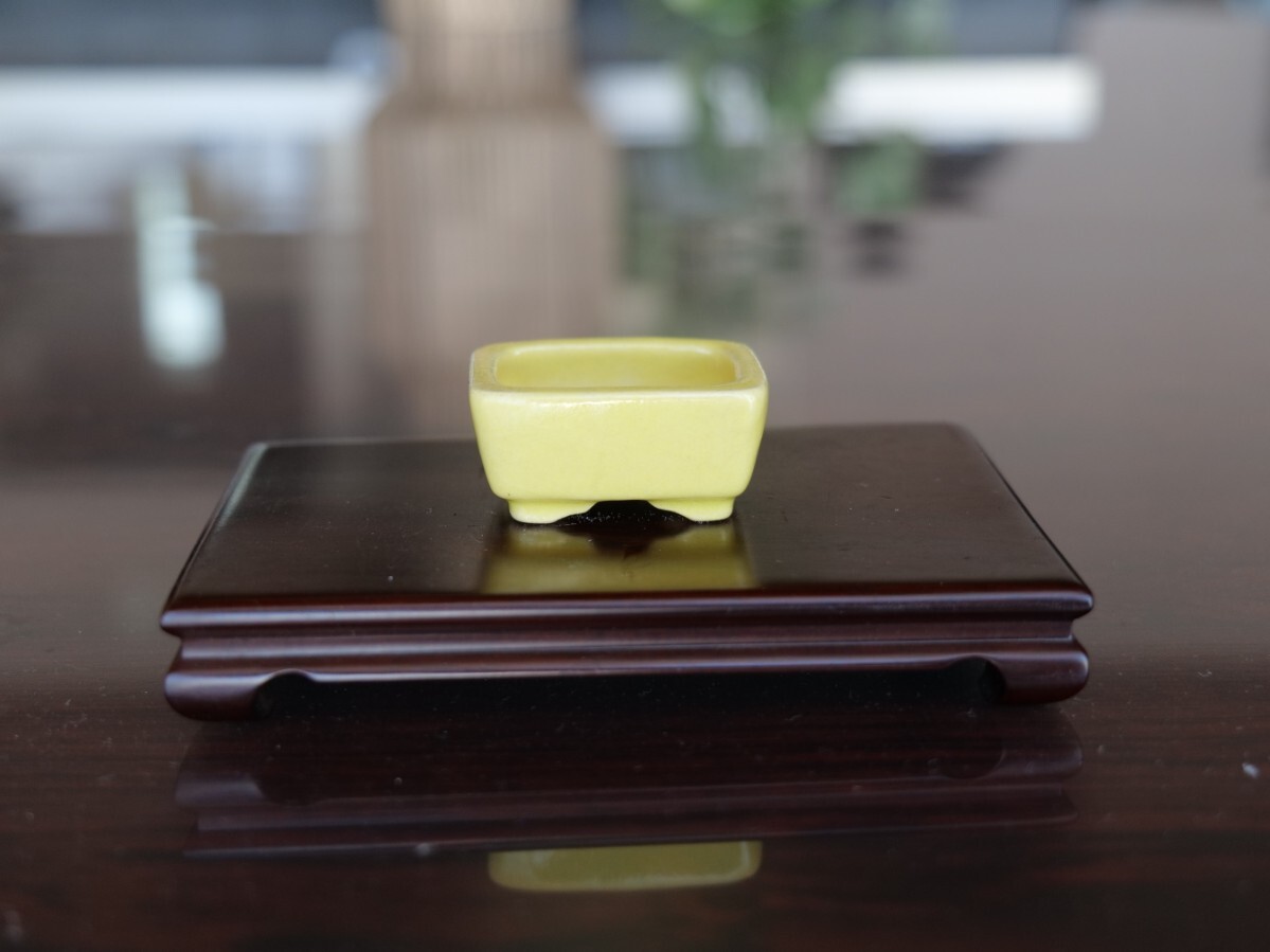 Yahoo!オークション -「蒼」(鉢) (盆栽用具)の落札相場・落札価格