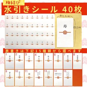 名入れ無し 御祝 梅結び 熨斗 水引き シール 40枚 ステッカー ラベル 結婚祝い 内祝い 敬老の日 七五三 還暦 入学祝い ラッピング