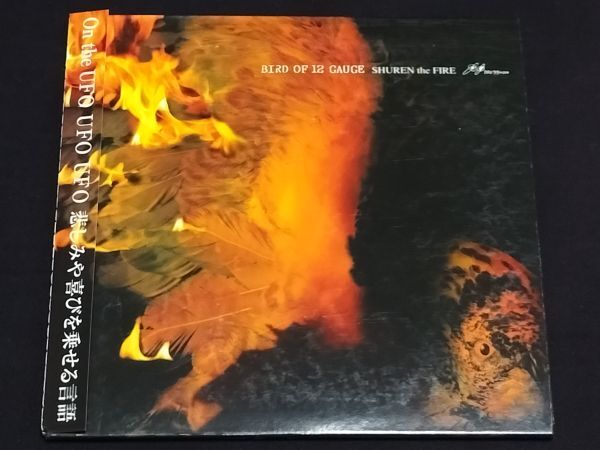 レア Shuren The Fire LP レコード 2枚組BLUEHERB レア Shuren The Fire LP レコード 2枚組BLUEHERB レア Shuren