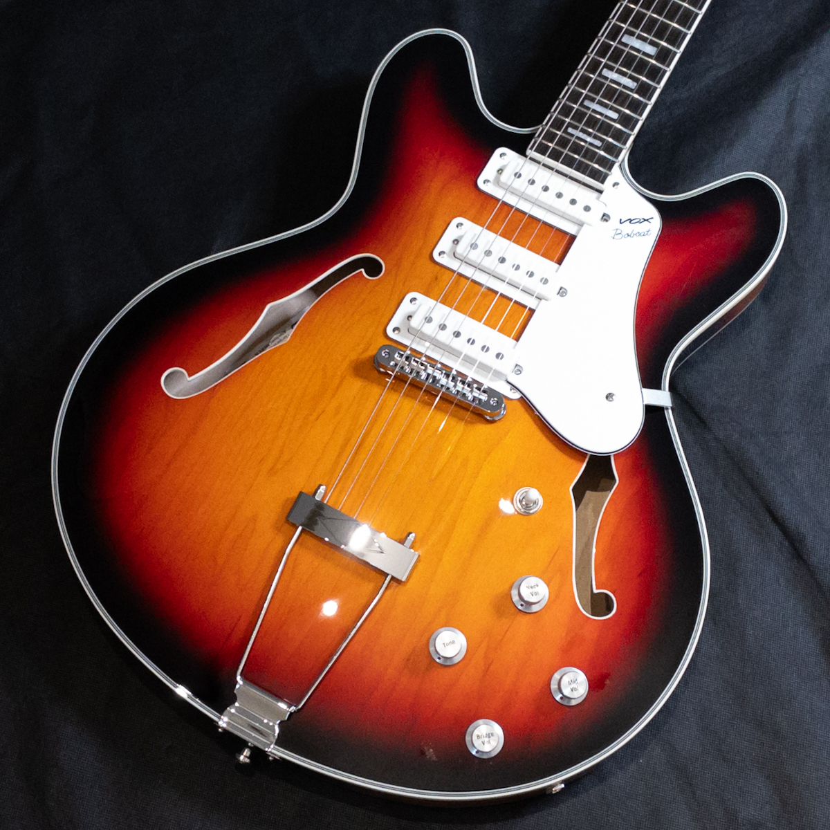 2025年最新】Yahoo!オークション -セミアコ(その他)の中古品