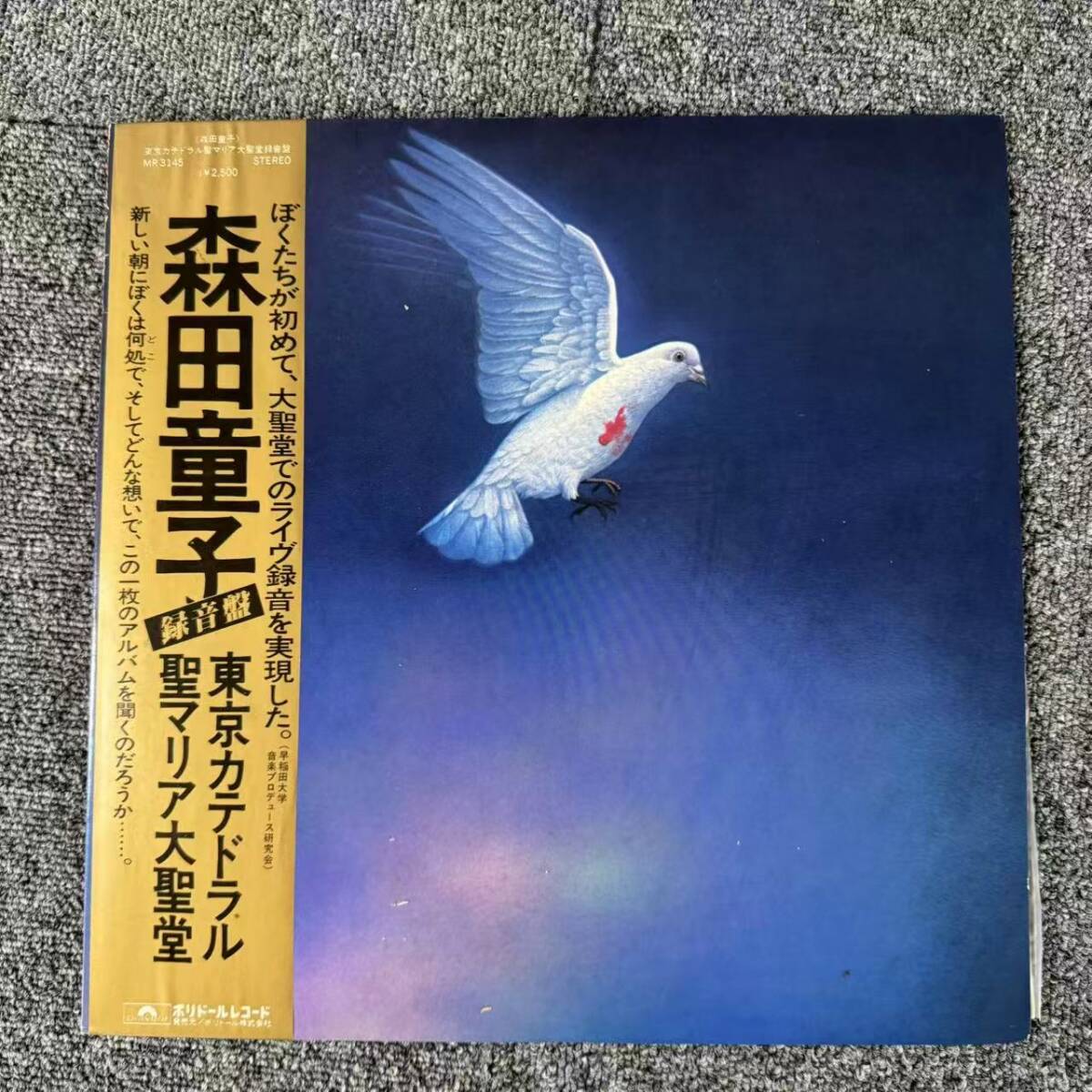 森田童子 東京カテドラル LP レコードサイン入り 当時日付場所　メッセージ　R 森田童子 東京カテドラル LP レコードサイン入り 当時日付場所