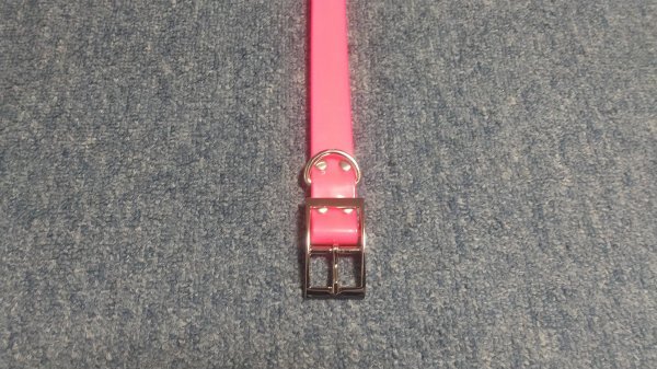 GARMIN ASTRO DC50首輪（中古品） GARMIN ASTRO DC50首輪（中古品） 2025年最新】Yahoo