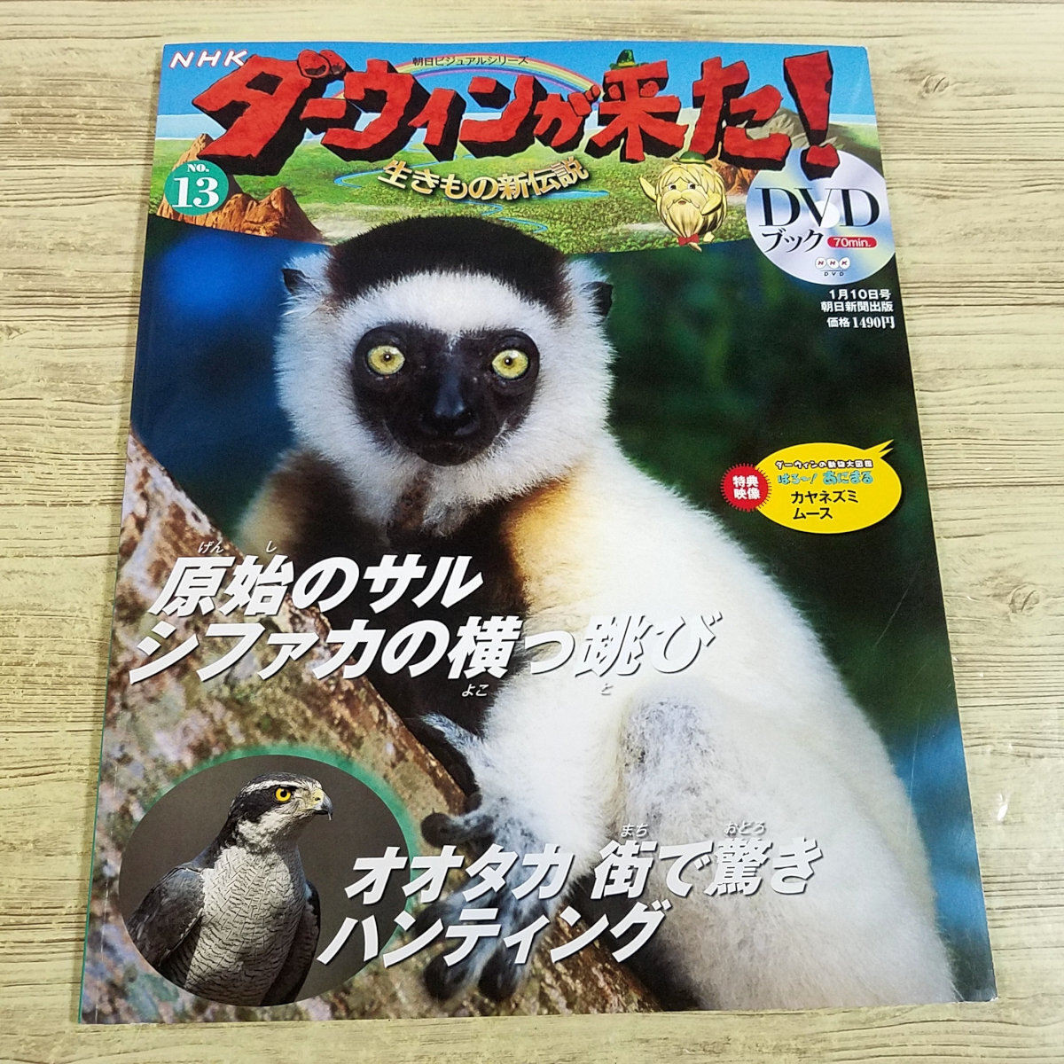 ダーウィンが来た！　DVDブック　47巻まとめ売り　DVD未使用 朝日新聞出版 最新刊行物：NHKダーウィンが来た！DVDブック