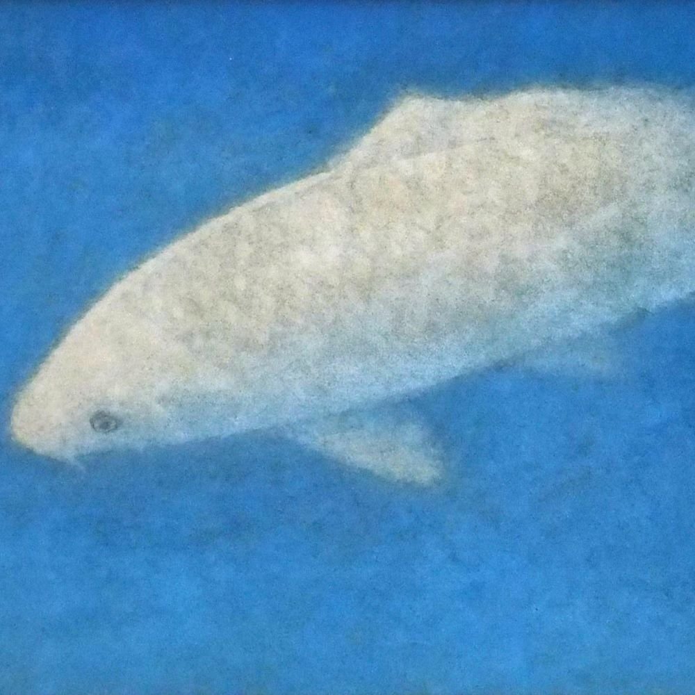 大山忠作、【蓬莱朝陽】、希少な額装用画集より、新品額装付 版画 「蓬莱朝陽」 | ｜正光画廊