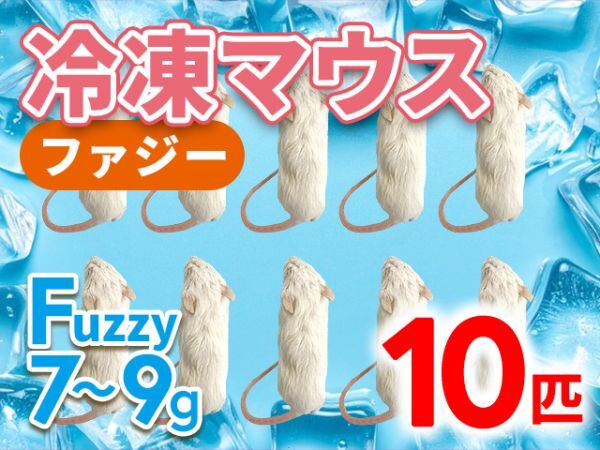 2025年最新】Yahoo!オークション -#冷凍マウスの中古品・新品