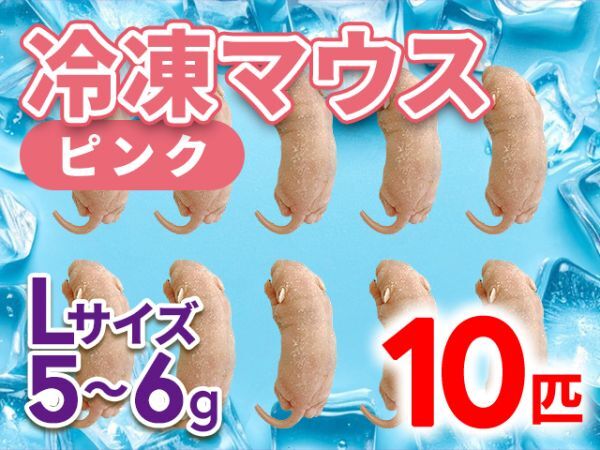 送料無料　冷凍ピンクマウスＬ100匹 送料無料 冷凍ピンクマウスL100匹 冷凍ピンクマウス Lサイズ