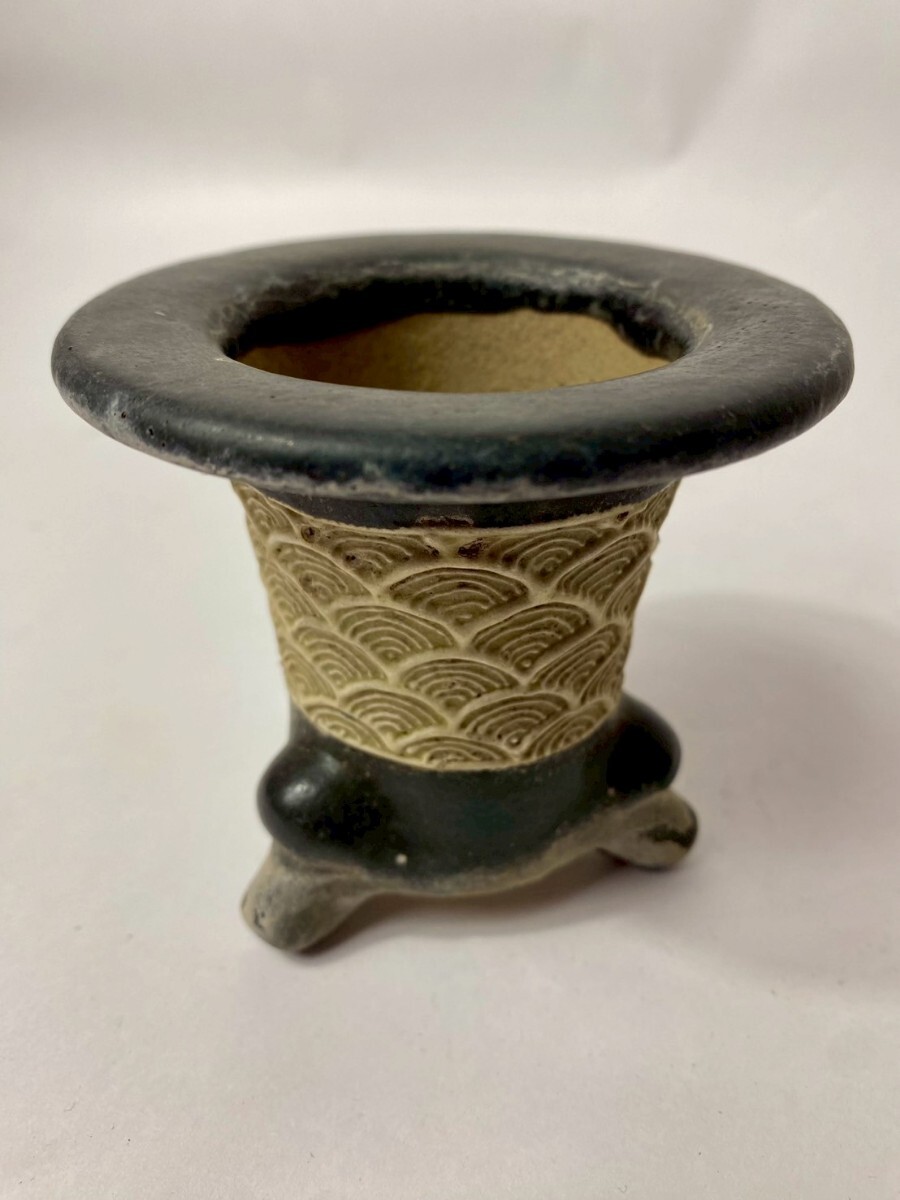 2025年最新】蘭鉢の魅力ある商品が揃うページ - Yahoo!オークション