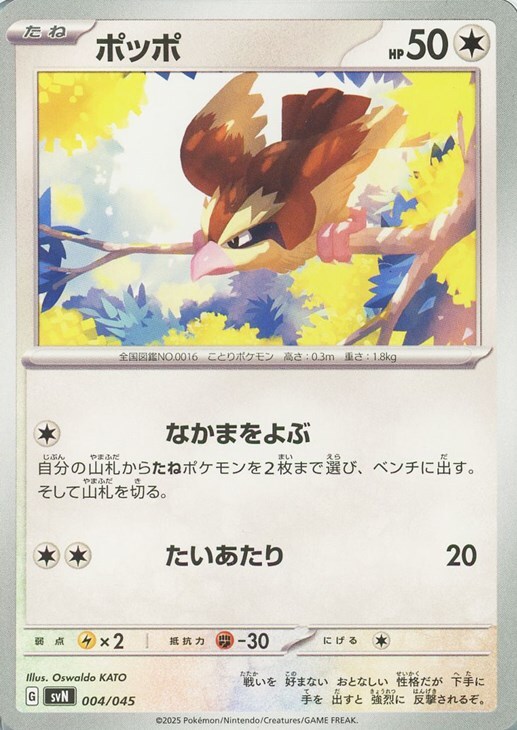 ポケモンカード　ポッポ　旧裏　初版　美品 旧裏 ポッポ」の激安通販 | magi