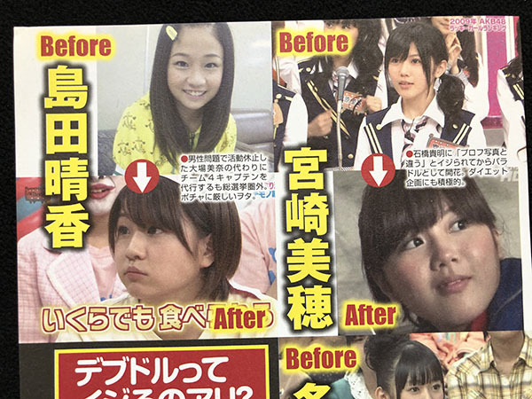 小嶋陽菜　切り抜き　700~1000枚程度 元AKB48 ♡小嶋陽菜♡ サイズ色々♪切り抜きまとめ売り ファイル