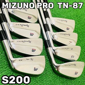 9061 MIZUNO PRO TN-87 ミズノプロ アイアン8本セット Dynamic Gold ダイナミックゴールド DG S200 3.4.5.6.7.8.9.P 送料無料 匿名配送
