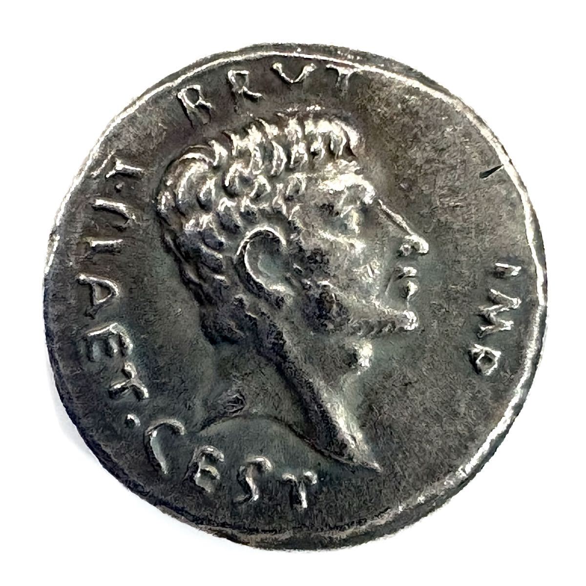 共和政ローマ；P セルウィリウス Mf ルルス、ARデナリウス銀貨、希少品 共和政ローマ；P セルウィリウス Mf ルルス、ARデナリウス銀貨