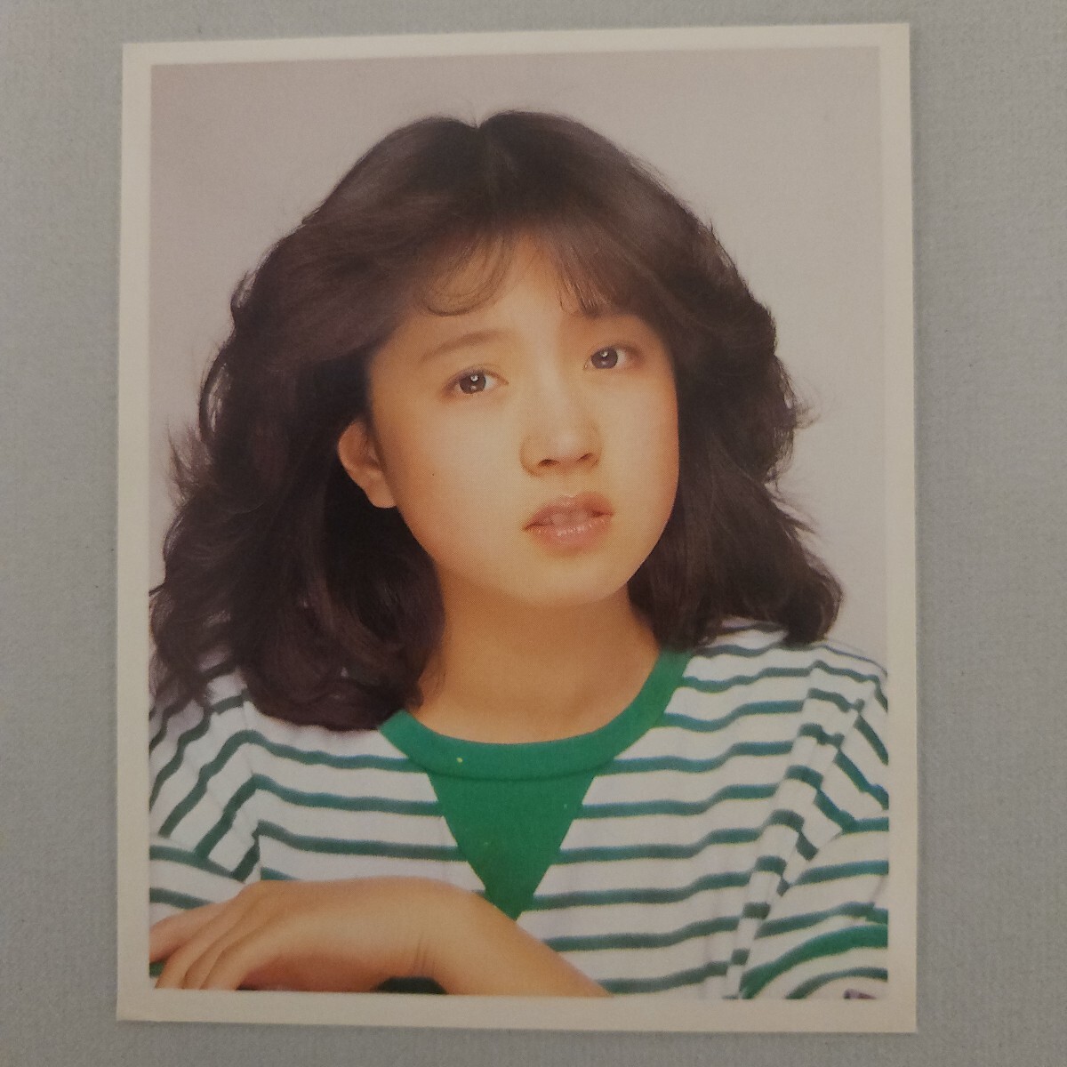 中森明菜　ブロマイドパウチカード　65枚 中森明菜 ブロマイドパウチカード 65枚