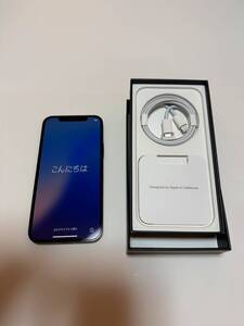 iPhone12 Pro 256GB パシフィックブルー SIMフリー 超美品!送料無料!欠品なし!