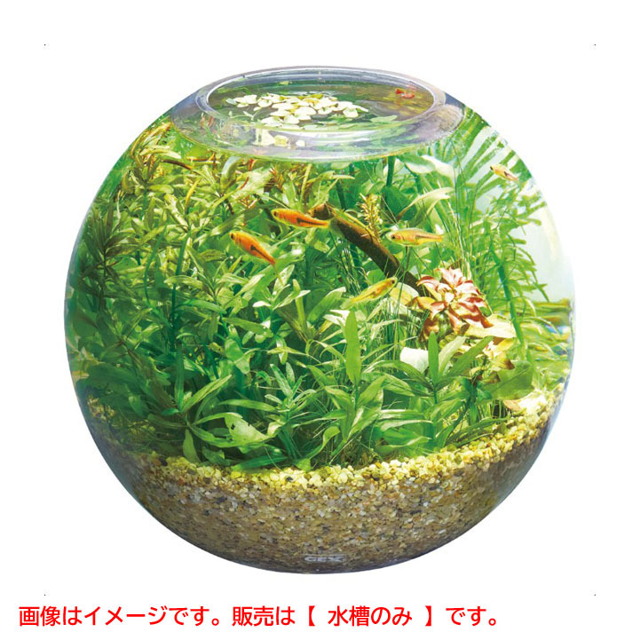 2025年最新】Yahoo!オークション -水槽セットの中古品・新品・未