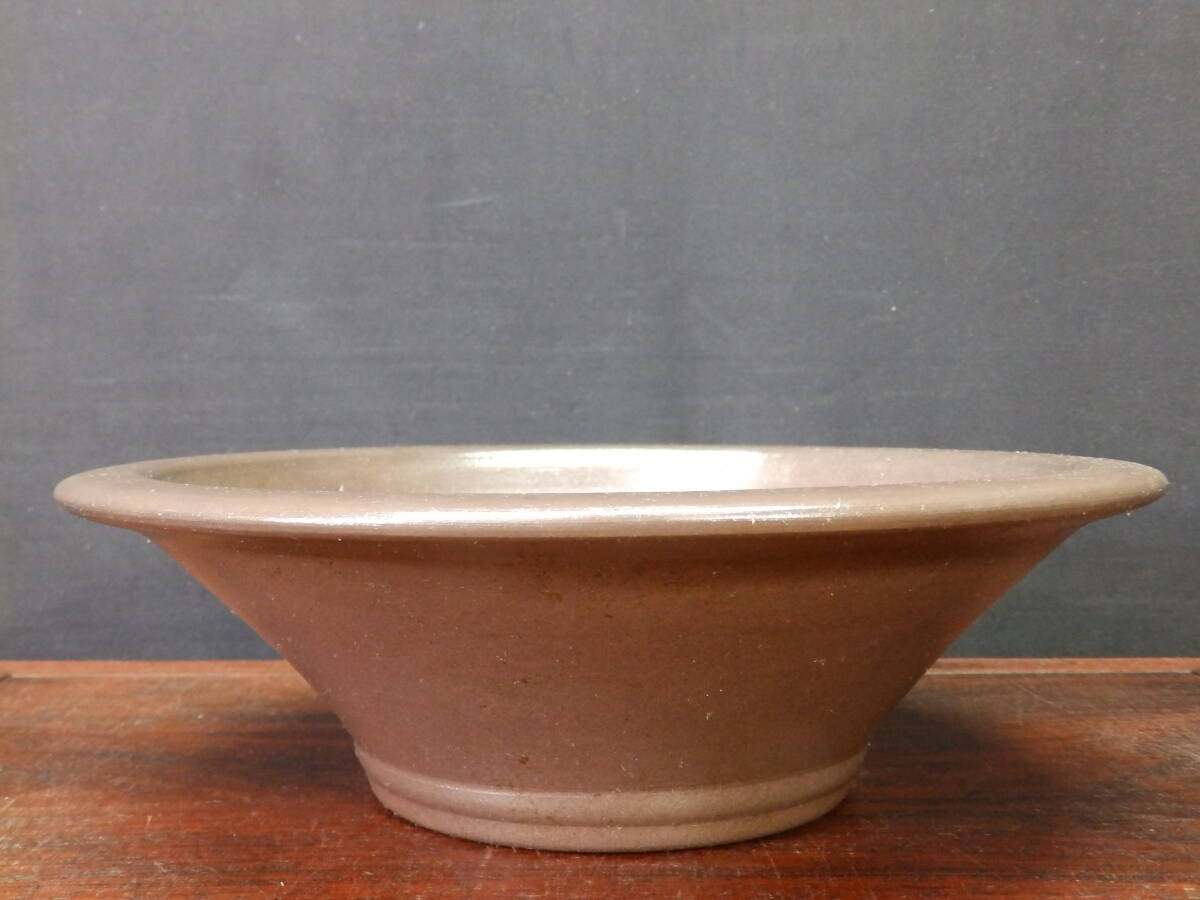 Yahoo!オークション -「盆栽鉢山秋」の落札相場・落札価格