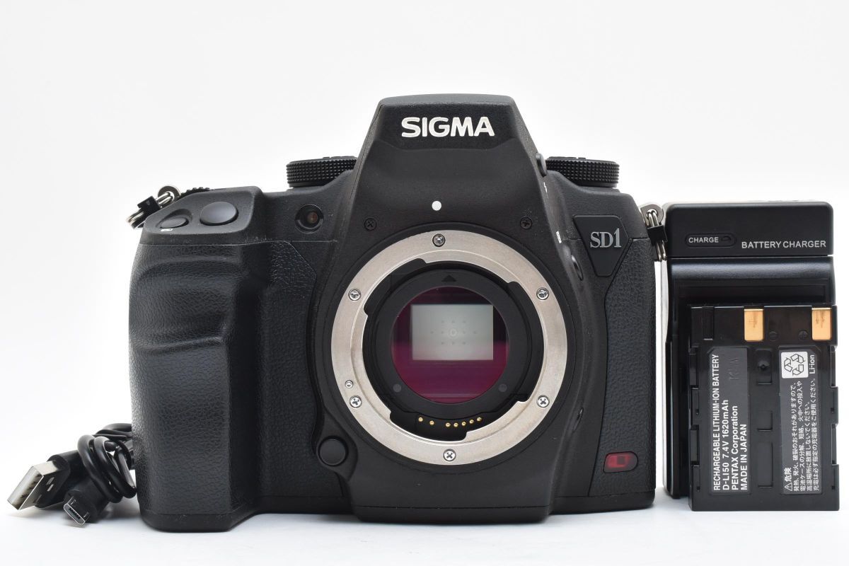 SIGMA SD1 美品 レビュー】SD1 Merrillを6年使って思ったこと｜プラナリア