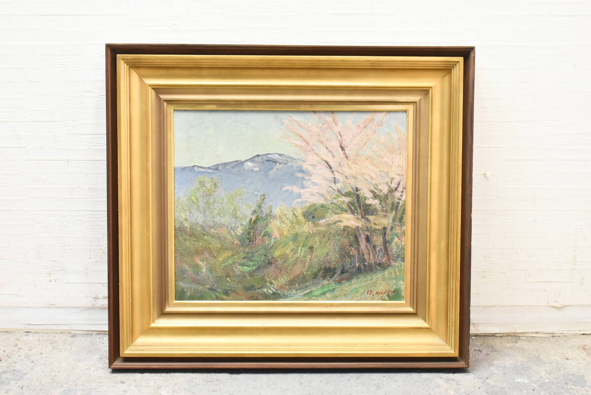 作家不明『外国風景』油彩画【真作保証】 絵画 真作保証 流月真一 油彩 風景画「山の風景」画寸約 32cm×41cm F6