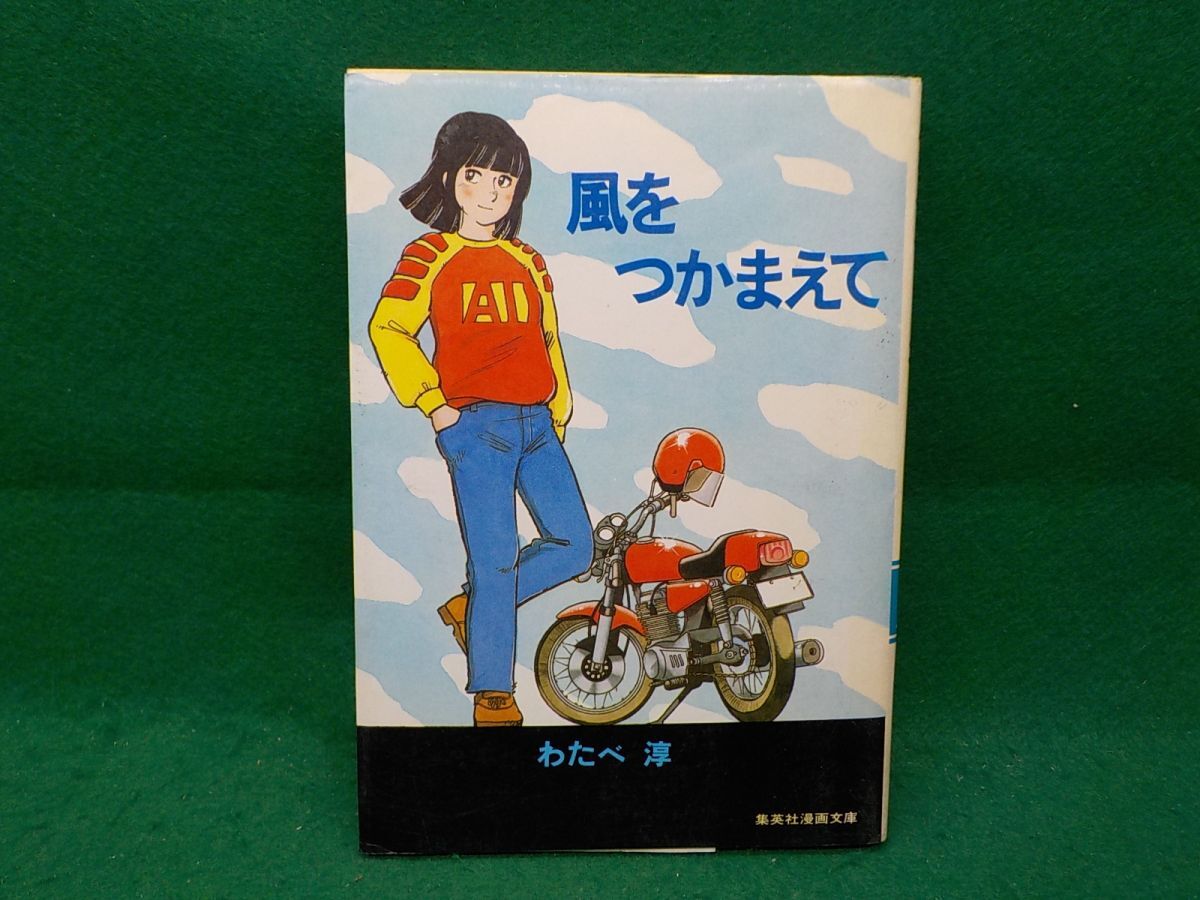 2025年最新】Yahoo!オークション -わたべ淳(漫画、コミック)の