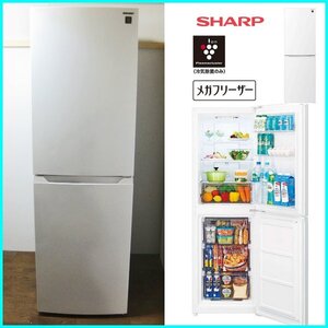 シャープ プラズマクラスター イオン冷凍冷蔵庫 230L SJ-BD23K 大容量冷凍室メガフリーザー 2ドア レッシュ野菜ケース 右開き