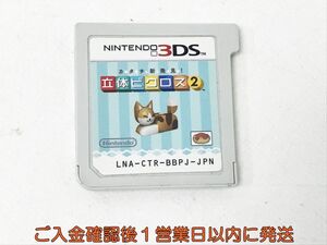 【1円】ニンテンドー3DS カタチ新発見! 立体ピクロス2 ゲームソフト ケースなし 未検品 1A0524-016kk/G1