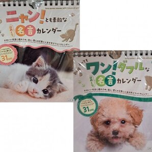【送料無料:卓上:選べる 2冊:可愛い 名言 カレンダー:子猫・子犬:17x15cm】★2026年:日めくり:繰り返し使える 万年カレンダー:いぬ,ねこ
