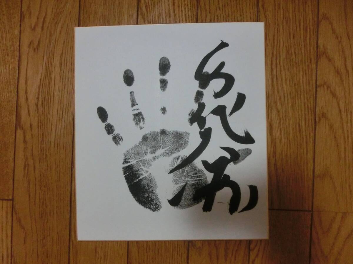 2025年最新】Yahoo!オークション -千代大海の中古品・新品・未