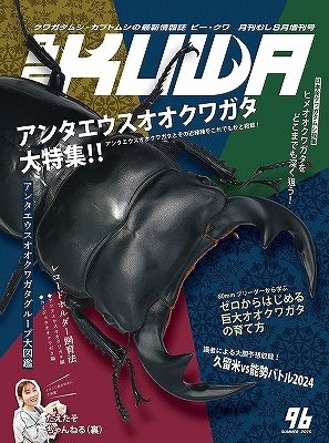 ビークワ2 ビークワ BEKUWA 1号〜88号 まとめ売り BE・KUWA（ビー・クワ