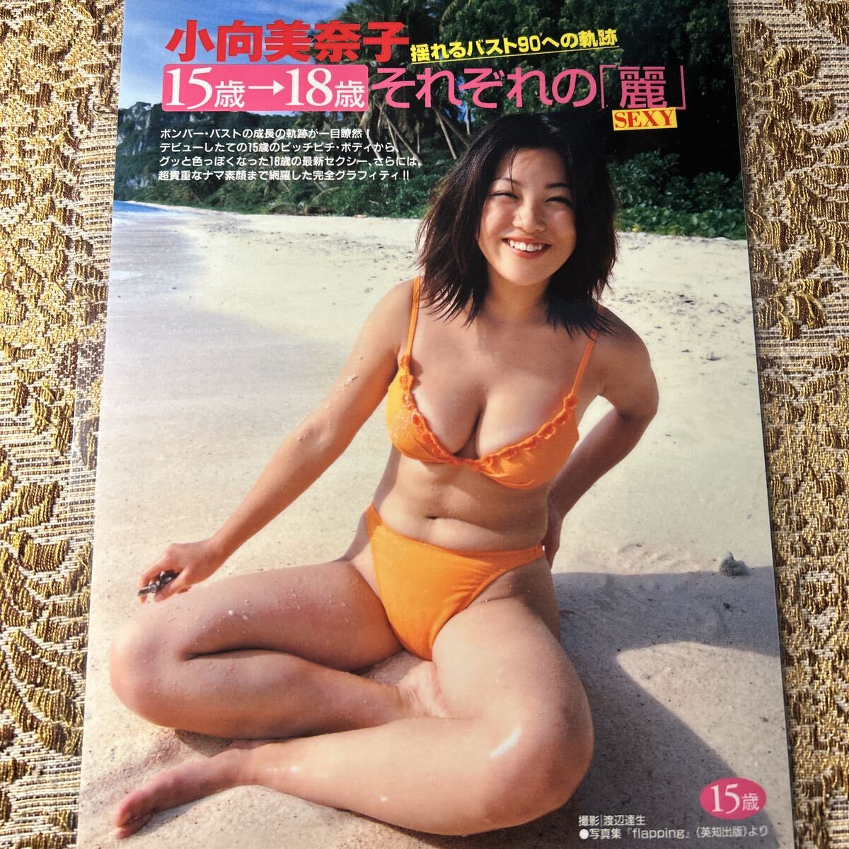 2025年最新】Yahoo!オークション -グラビア仲間由紀恵(切り抜き
