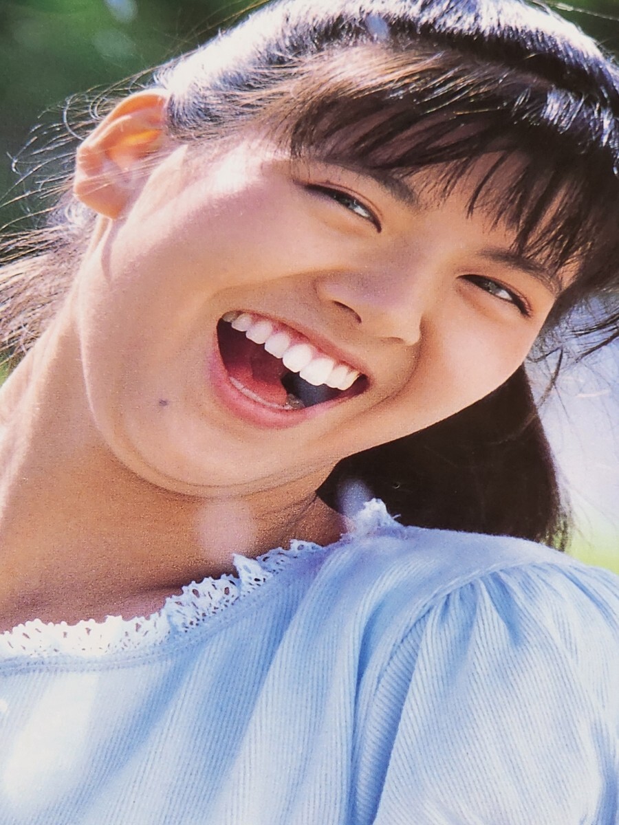 Yahoo!オークション -「南野陽子 ポスター」(タレント