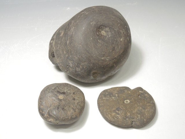 【激レア】南極の石 台座付き【美品】 2025年最新】Yahoo!オークション -南極 石の中古品・新品・未