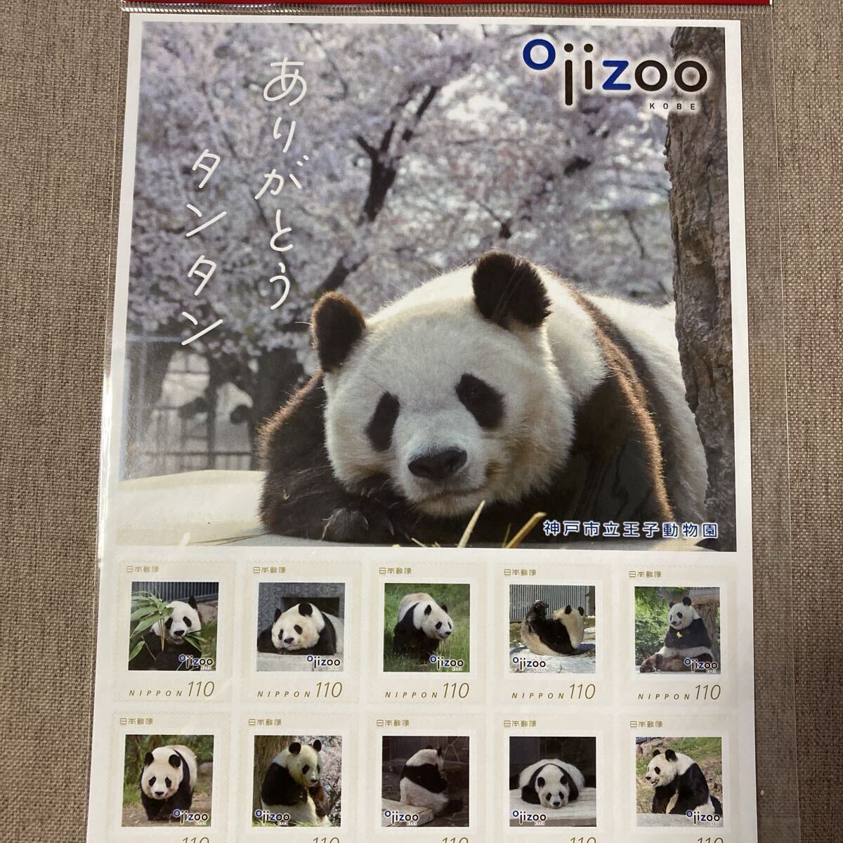 まとめ済5692 外国切手 国連 絶滅危惧種 パンダ等1995年 4枚セット まとめ済5692 外国切手 国連 絶滅危惧種 パンダ等1995年 4枚セット