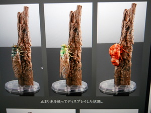 いきもの大図鑑アドバンス オンライン版 セミ01 ディスプレイスタンドセット ( ミンミンゼミ.ミカドミンミン.幼虫 )・全3種セット