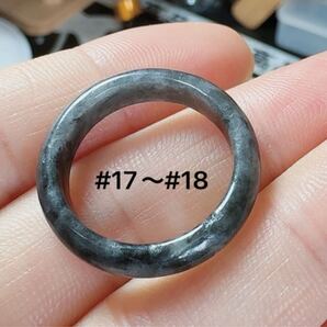 R2-01910天然烏鶏種翡翠《本物保証》 天然石 天然翡翠 指輪17~18号 A貨黒翡翠リング 一点物 縁起物 御守り 魔除け 昇進 成功 風水 金財運