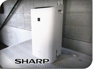 ■展示品■SHARP/シャープ■Plasmacluster■除加湿空気清浄機■2025年製■除湿能力5.0/5.6L/日■KI-SD50-W■kdnn5028k