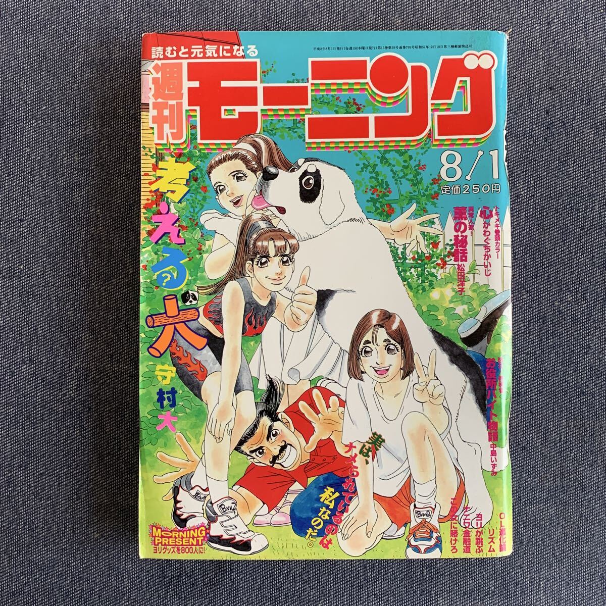 【中古】 考える犬 １３/講談社/守村大 中古】 考える犬 13/講談社/守村大の通販 by もったいない本舗
