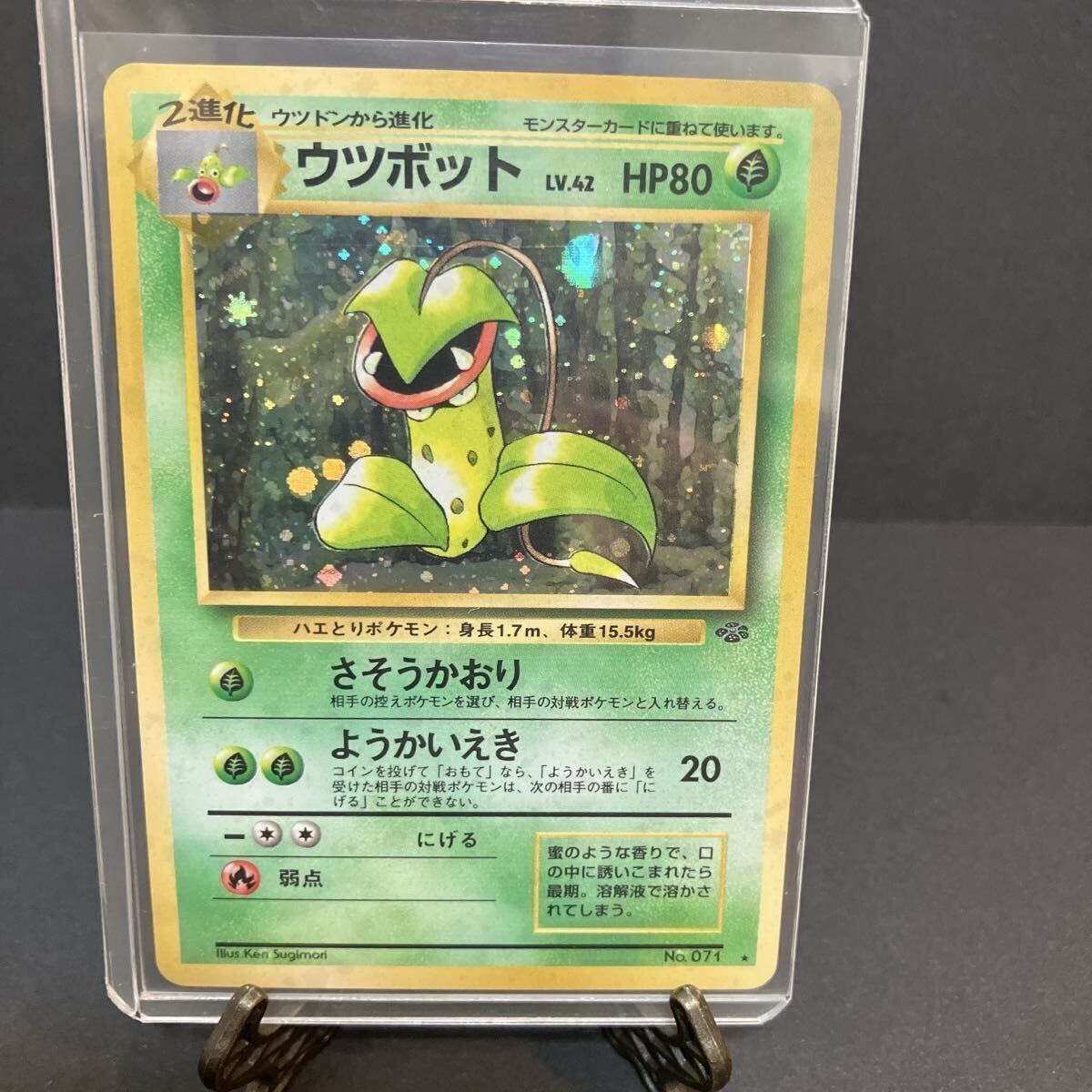 Yahoo!オークション - PSA10 キモリ ポケモンカード プロモ セブンイレ
