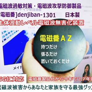 5G電磁波対策グッズ おすすめ テレワークストレス防止「電磁番AZ」1点 送料無料