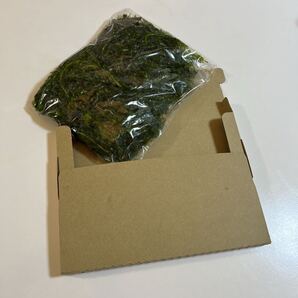 送料無料 無農薬アナカリス ゆうパケットの箱いっぱいに入れます エビ ザリガニ メダカ めだか オオカナダモ 水草 金魚草 金魚藻