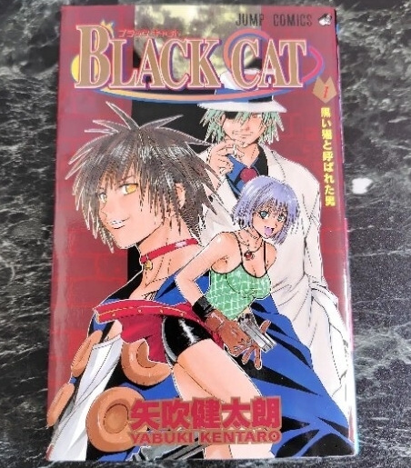 【全巻初版】ブラックキャット BLACK CAT 【帯☆チラシ付き】 ブラックキャット BLACKCAT 全巻セット 全20巻セット : WEB書店